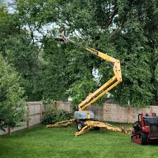 How Our Tree Care Process Works  in  Knik Fairview, AK